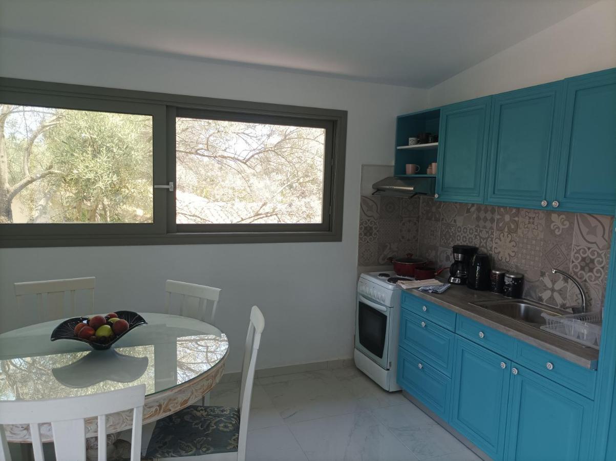Inspirus Apartments Lefkada City Exterior photo